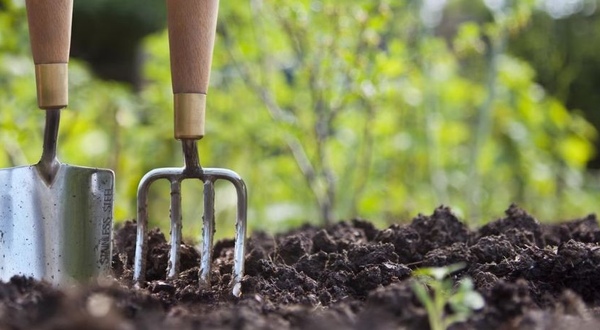 Master Your Backyard: Monthly Gardening Tips