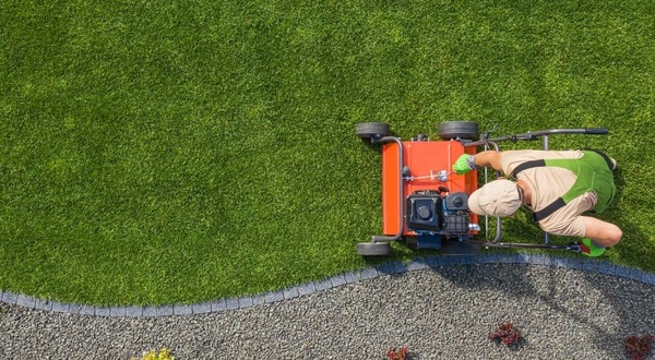 Ultimate Lawn Care Guide: Tips and Tricks